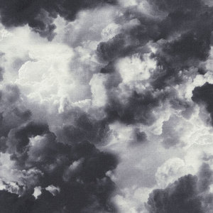 timeless_treasures_house_designer_wicked_eve_dark_clouds_in_cloud
